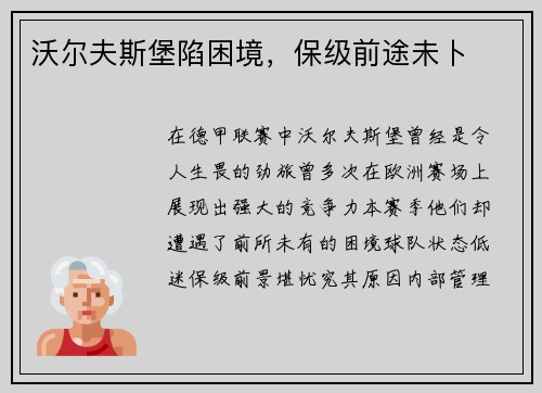 沃尔夫斯堡陷困境，保级前途未卜